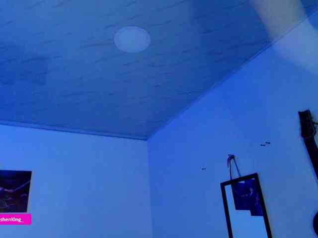 Nicorobin webcam