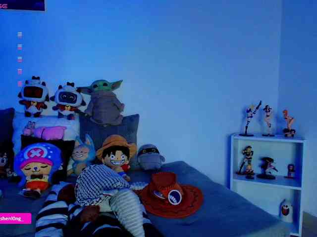 Nicorobin webcam