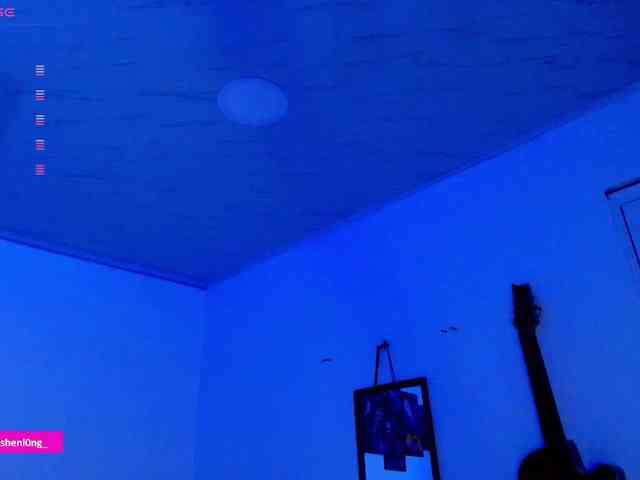 Nicorobin webcam