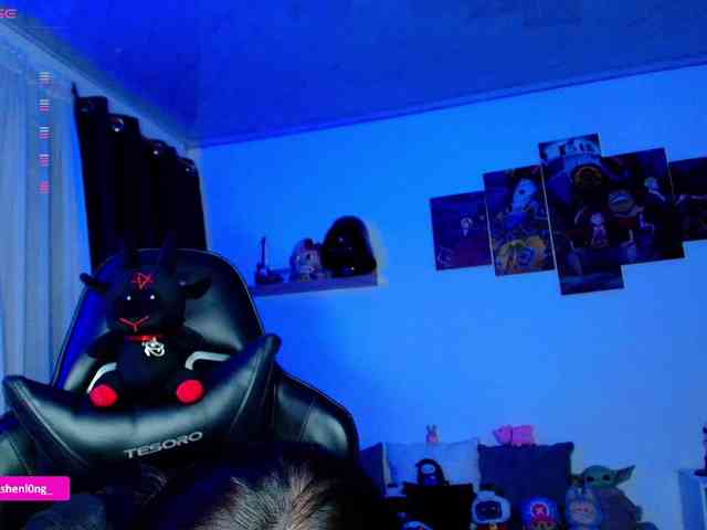 Nicorobin webcam