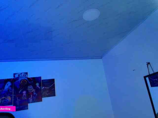 Nicorobin webcam