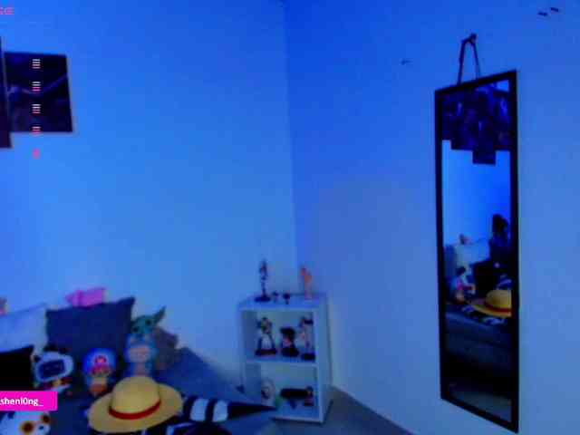 Nicorobin webcam
