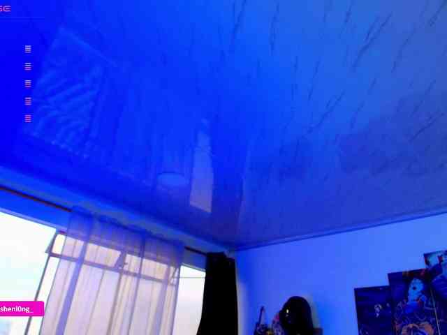 Nicorobin webcam