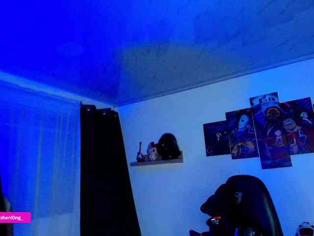 Nicorobin webcam