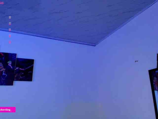 Nicorobin webcam