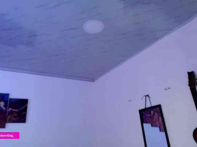 Nicorobin webcam