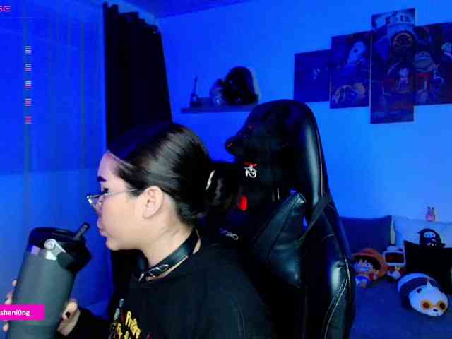 Nicorobin webcam