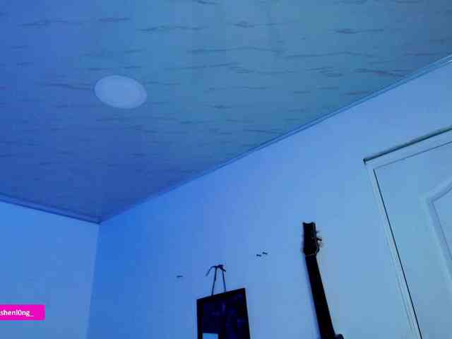 Nicorobin webcam
