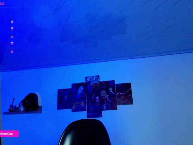 Nicorobin webcam