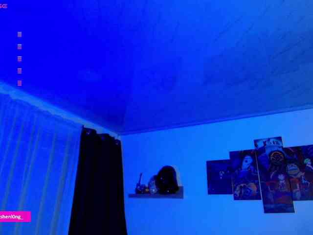 Nicorobin webcam