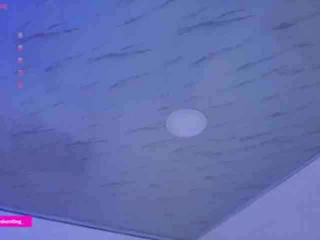 Nicorobin webcam