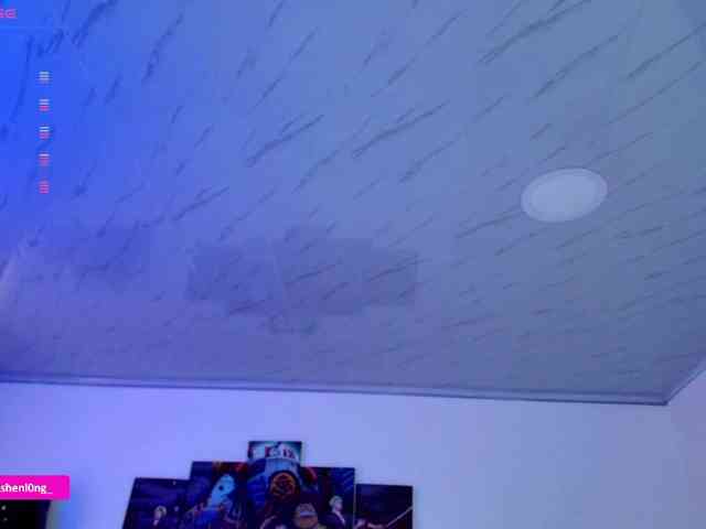 Nicorobin webcam