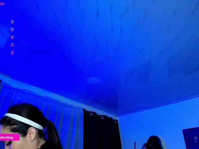 Nicorobin webcam