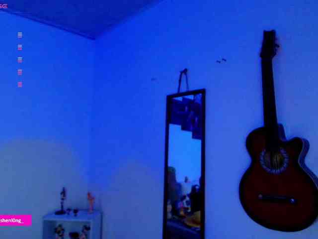 Nicorobin webcam