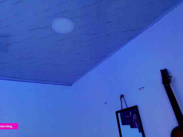 Nicorobin webcam