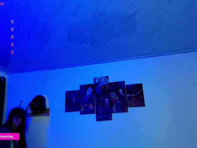 Nicorobin webcam