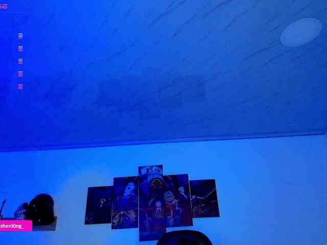 Nicorobin webcam