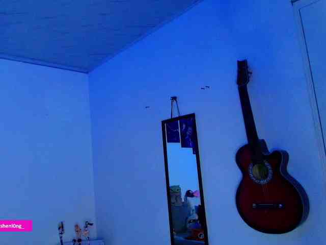 Nicorobin webcam