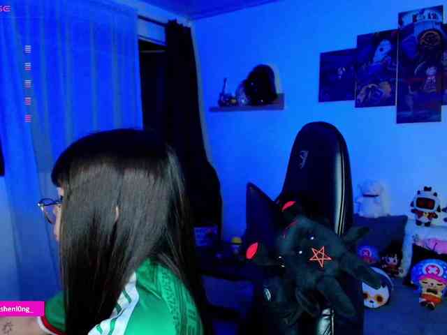 Nicorobin webcam