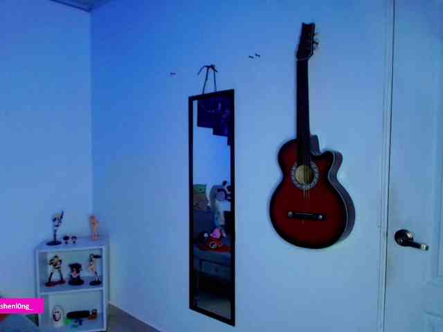 Nicorobin webcam