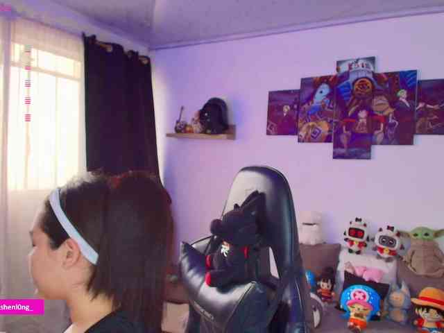 Nicorobin webcam