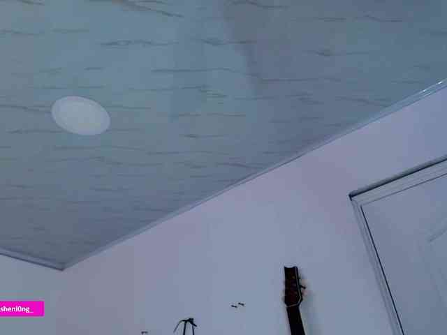 Nicorobin webcam