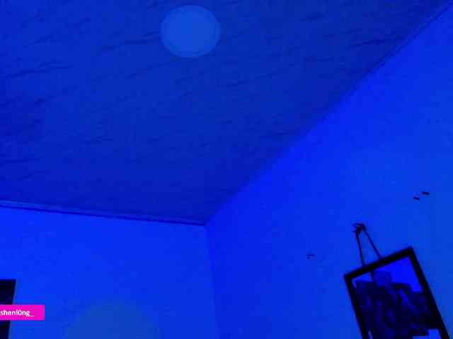 Nicorobin webcam