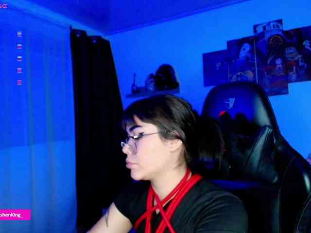 Nicorobin webcam