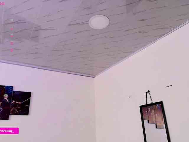 Nicorobin webcam