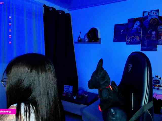 Nicorobin webcam