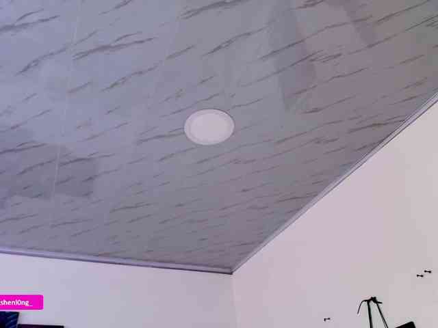 Nicorobin webcam