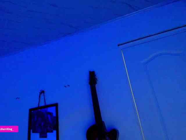 Nicorobin webcam