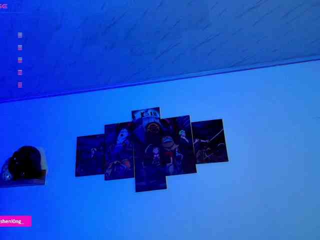 Nicorobin webcam