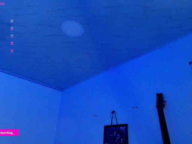 Nicorobin webcam
