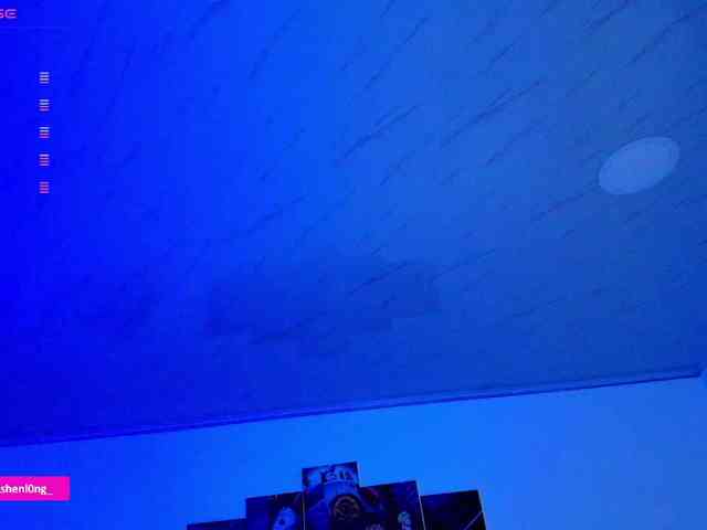 Nicorobin webcam