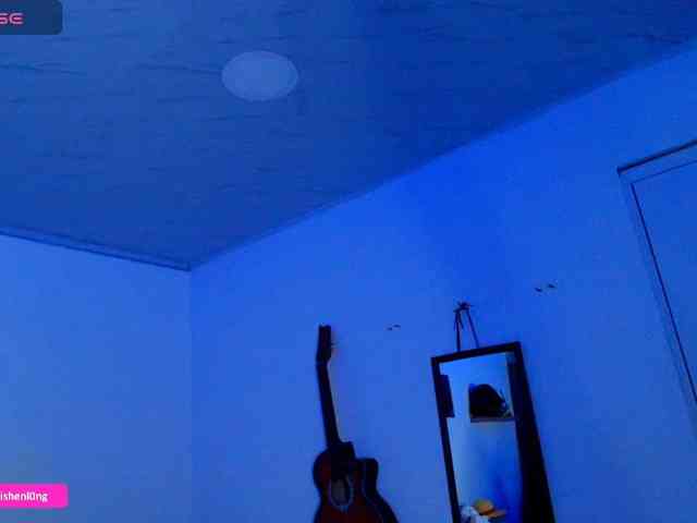 Nicorobin webcam