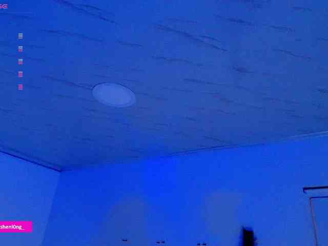 Nicorobin webcam