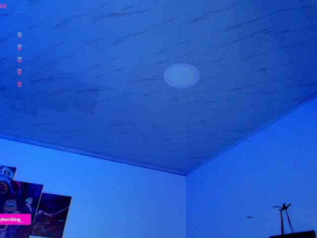Nicorobin webcam