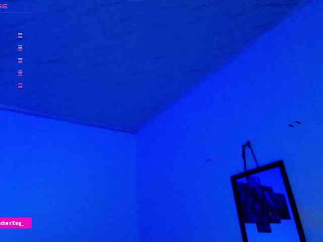 Nicorobin webcam