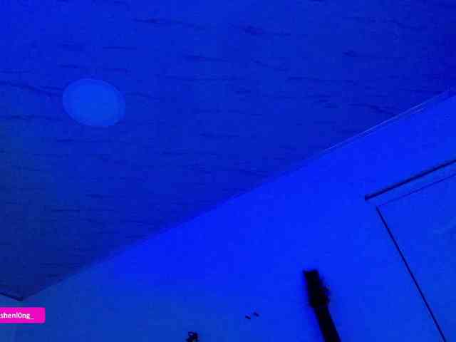 Nicorobin webcam