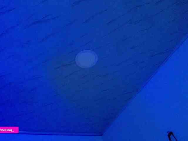 Nicorobin webcam
