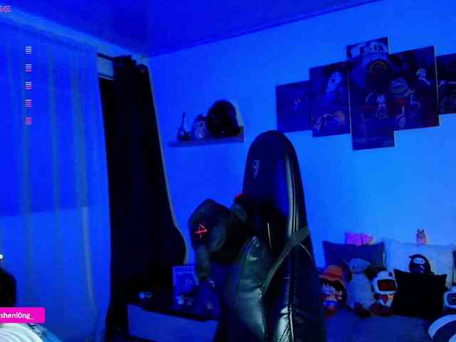 Nicorobin webcam