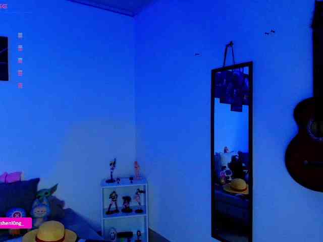 Nicorobin webcam