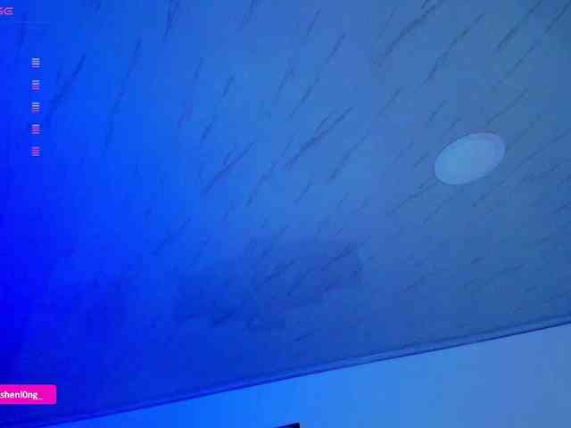Nicorobin webcam