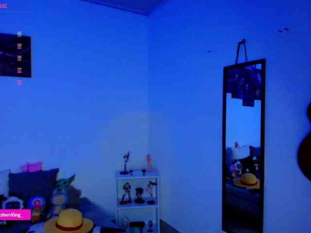 Nicorobin webcam