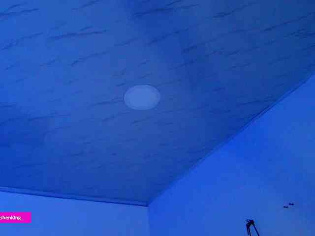 Nicorobin webcam