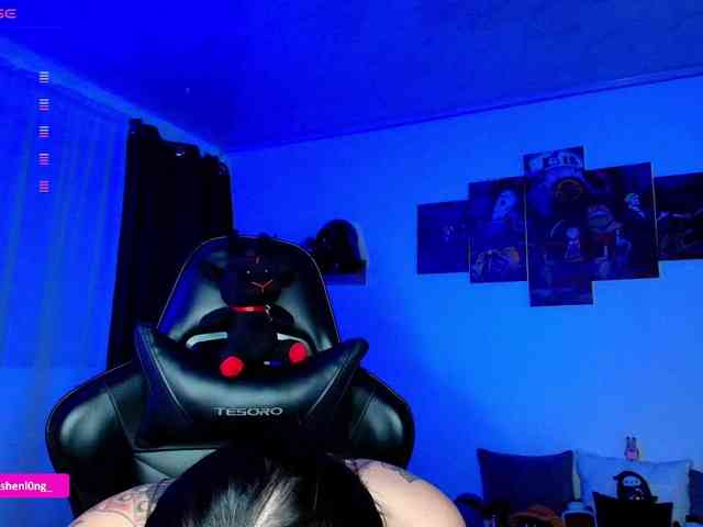 Nicorobin webcam