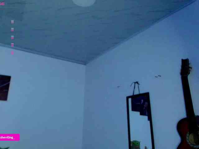 Nicorobin webcam