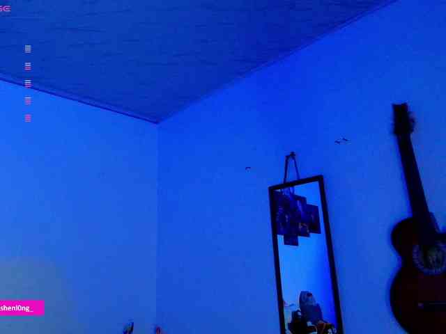 Nicorobin webcam