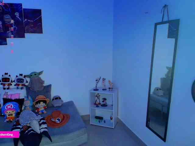 Nicorobin webcam